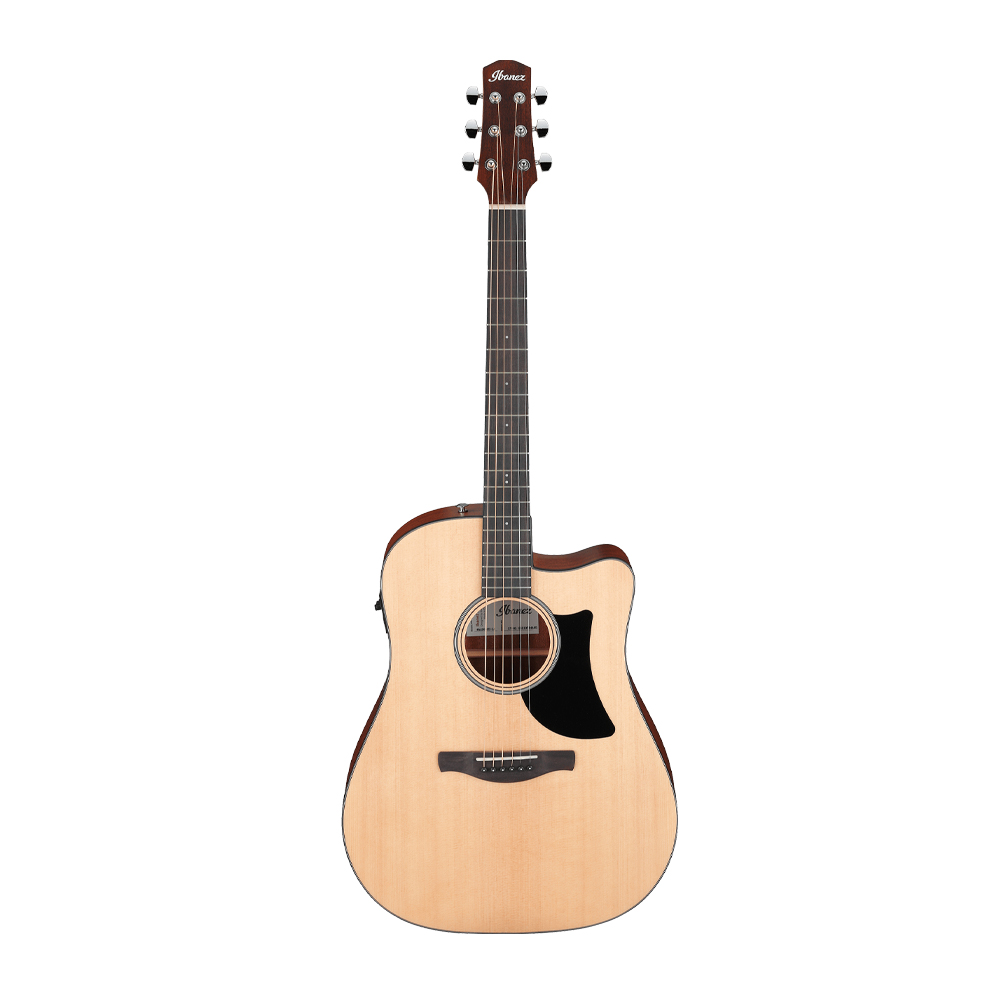Ibanez AAD50CE, , large