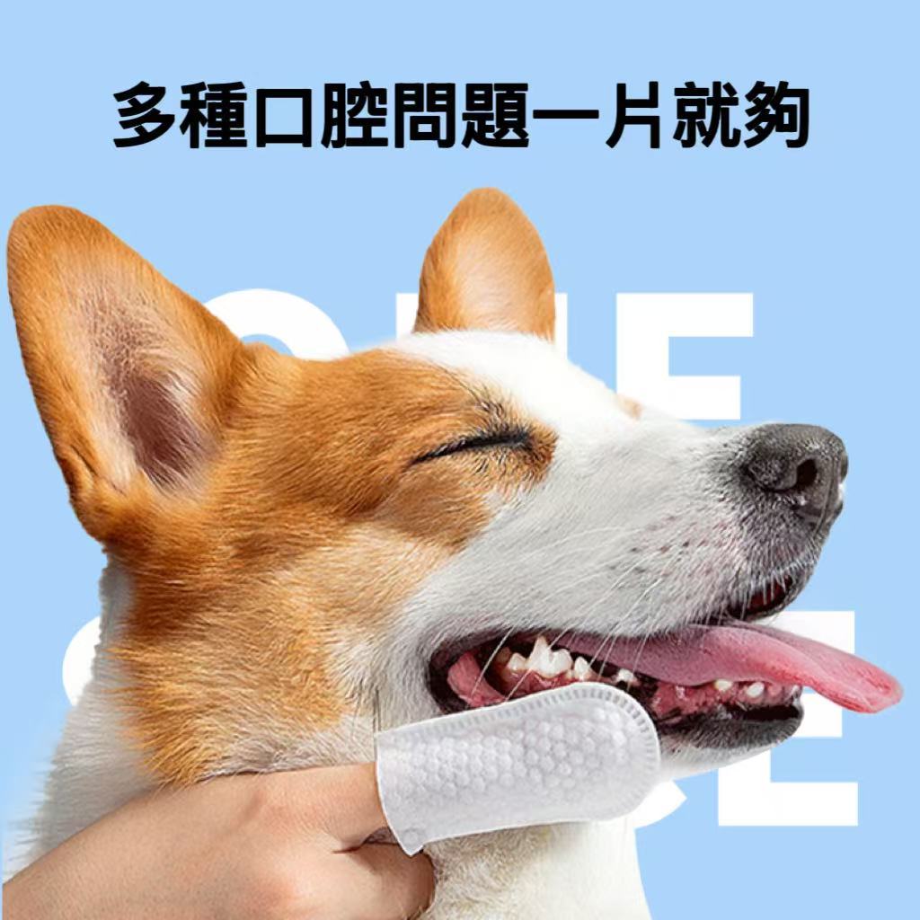 【艾寵聯萌】寵物潔齒指套濕紙巾50片（口腔護理 茶多酚 犬貓適用 寵物美容 寵物牙膏 牙垢 潔牙 牙菌 洗牙）, , large