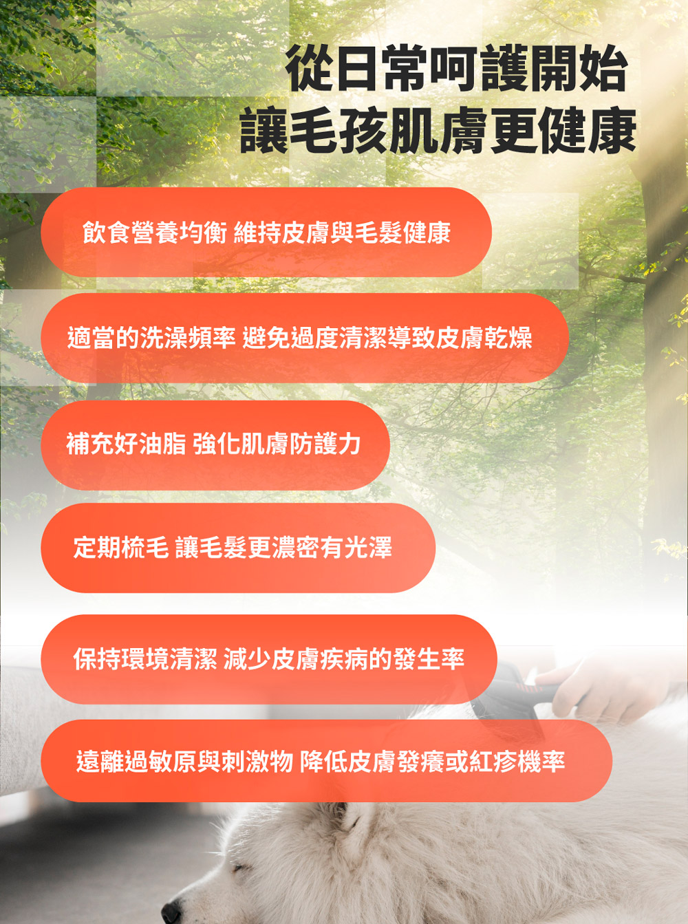 【GOMO PET FOOD】卵磷脂美膚/成犬無穀雙效護毛配方1.8kg 狗飼料 狗糧, , large