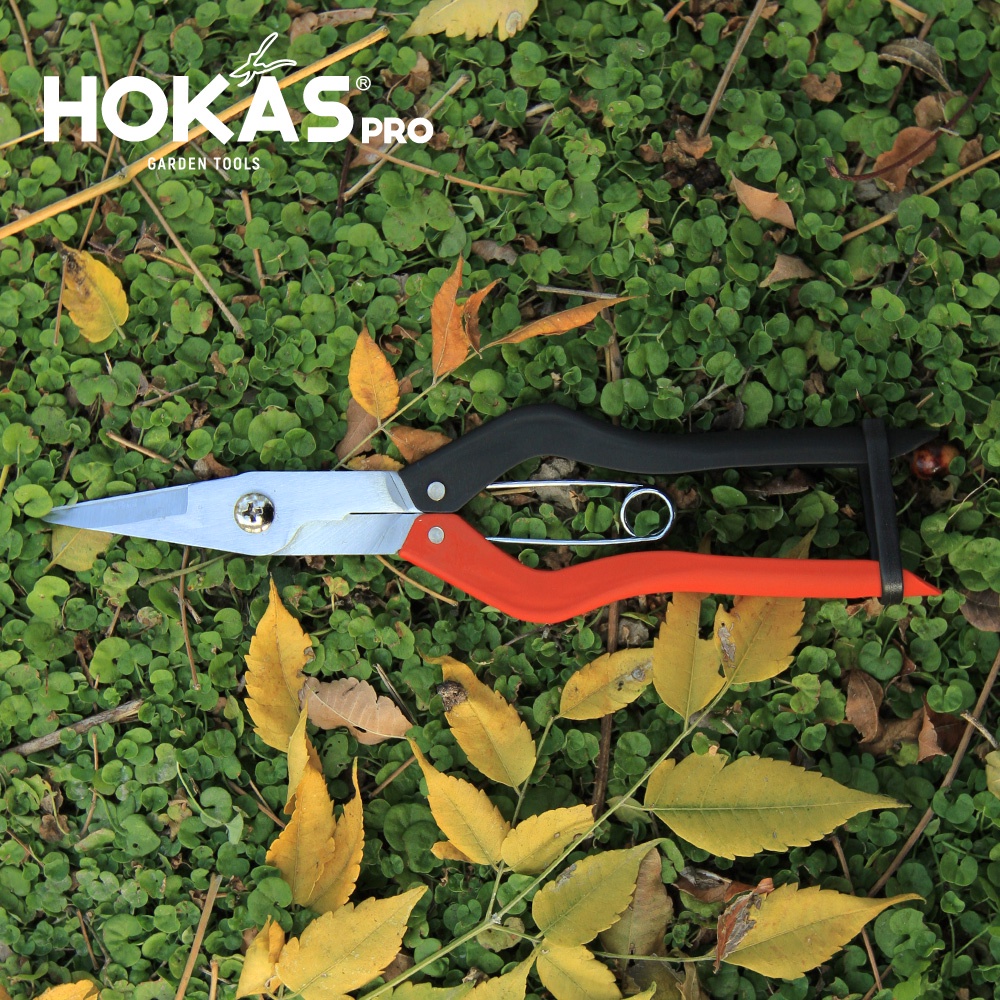【HOKAS】S523 鐵柄專業火龍果剪 (葡萄剪 剪果 園藝剪刀 剪定鋏  修枝剪刀 樹剪 果樹剪 採果剪), , large