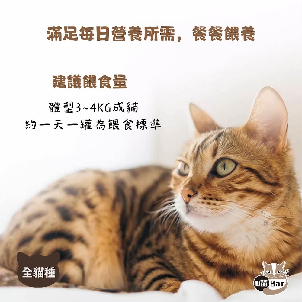 【喵Bar】化毛肉多多貓罐頭 餐罐 副食罐160g x 24入, , large
