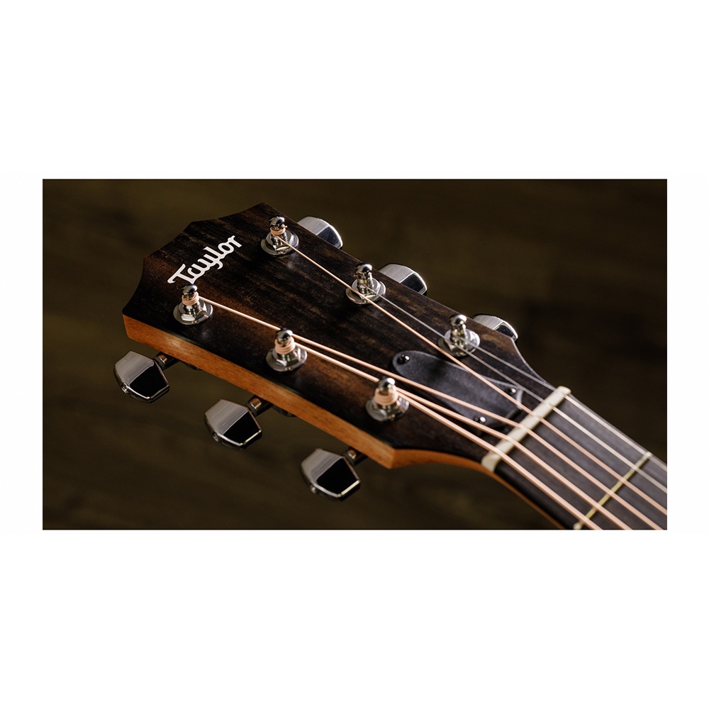 Taylor 210CE 雲杉木面單板 電民謠木吉他【敦煌樂器】, , large