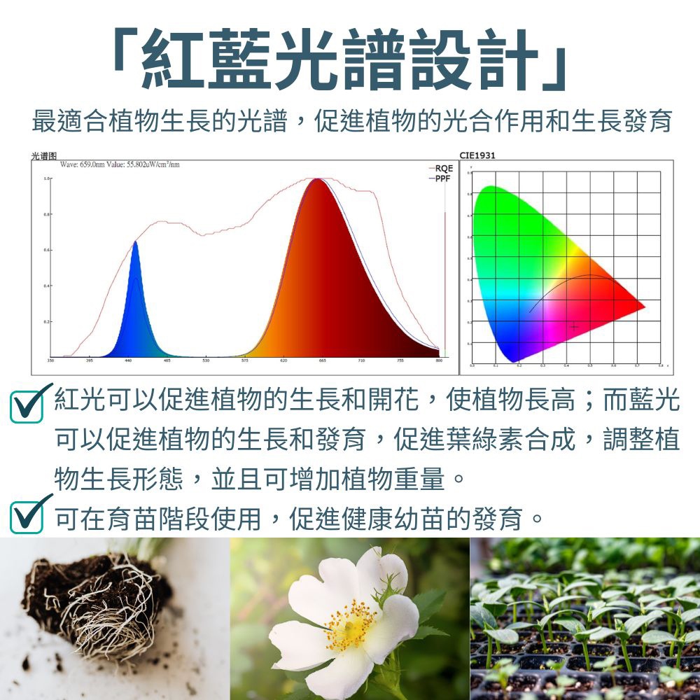【君沛】紅藍混光 2呎 T8植物燈管 12.5W 育苗專用 抑制徒長 鹿角蕨孢子苗 玫瑰補光 發根強化 專業型生長燈, , large