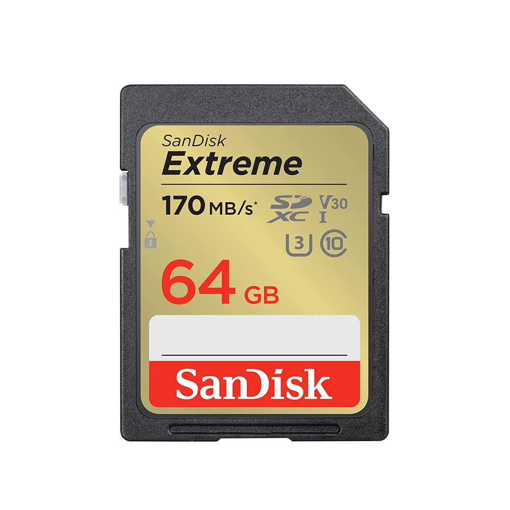 SanDisk SD card, , large