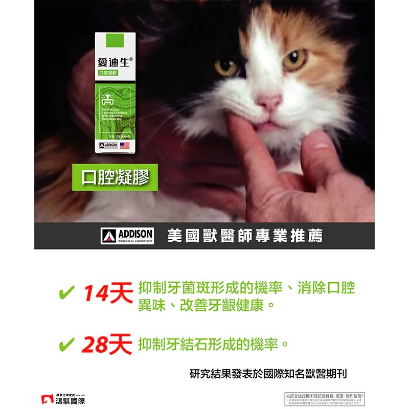 【PawHomie】愛迪生Addison 口腔凝膠 貓咪 狗狗 潔牙 凝膠 刷牙 口腔 口臭 清潔 牙膏 牙結石, , large