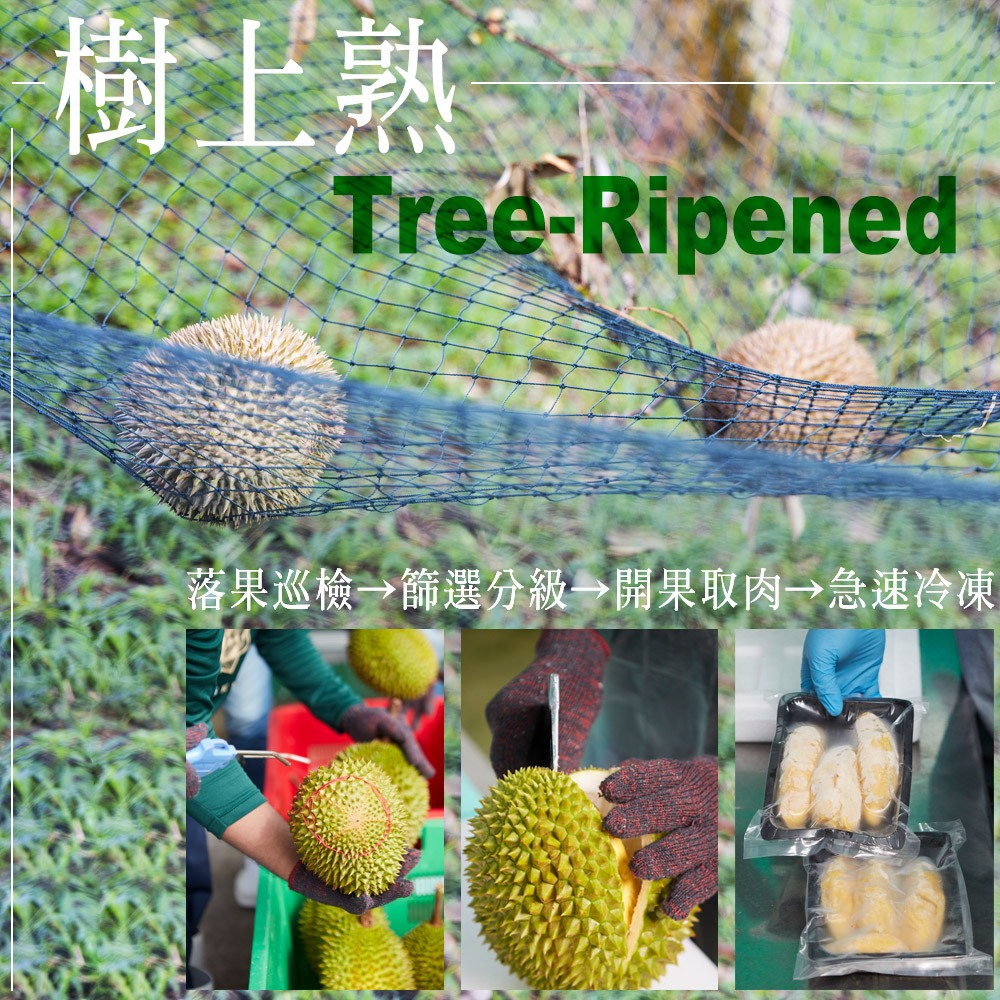 ★真的貓山王!!!★【D.MASKING榴槤大哥】全台唯一馬來西亞官方認證&rarr;勞勿冷凍貓山王榴槤 400g_2盒, , large