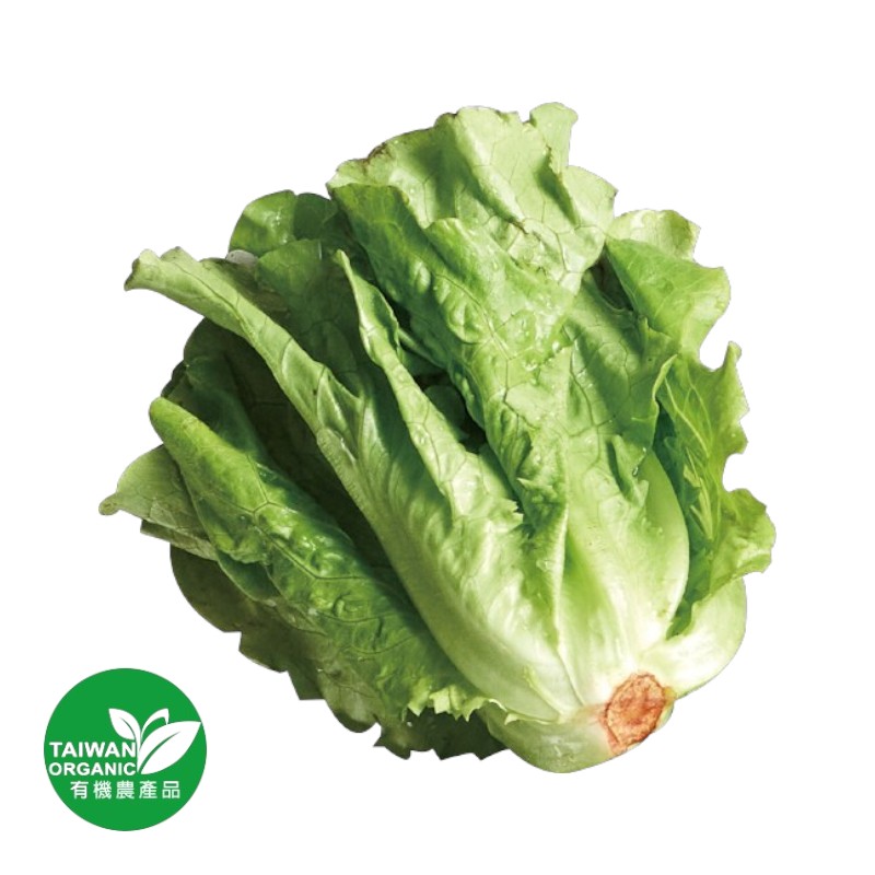 有機福山萵苣300g, , large