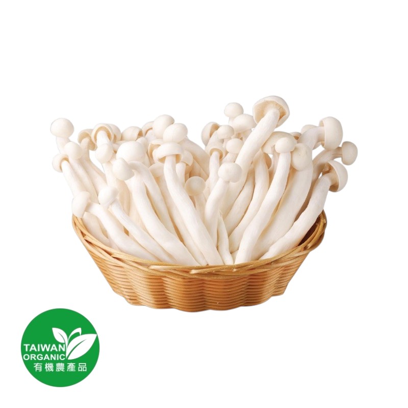 Organic White Swordbelt Mushroom, , large