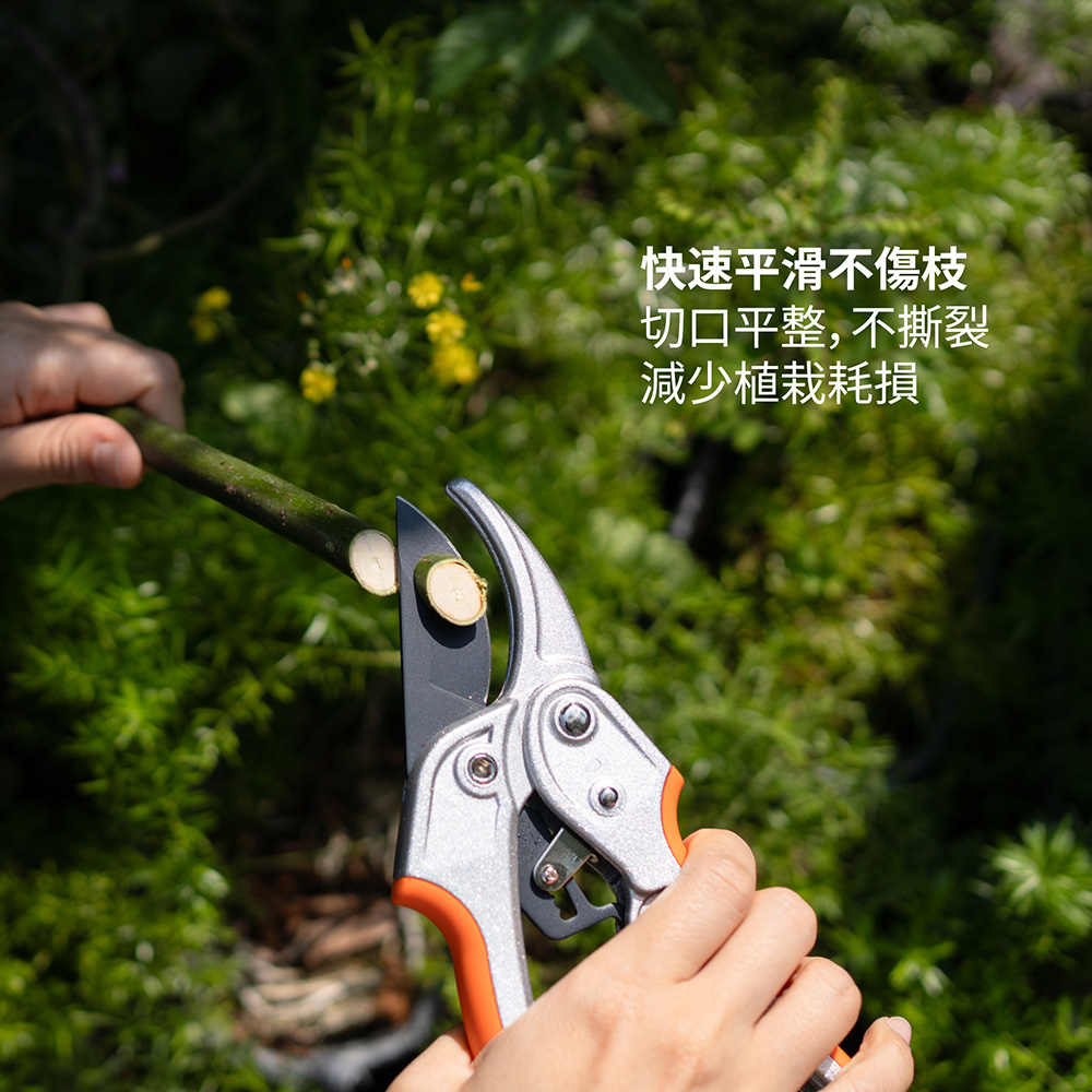 Taiwan Good Pruners - High Carbon Steel Labor-Saving Segmented Pruning Shears (Top Choice for Gardening Tools), , large