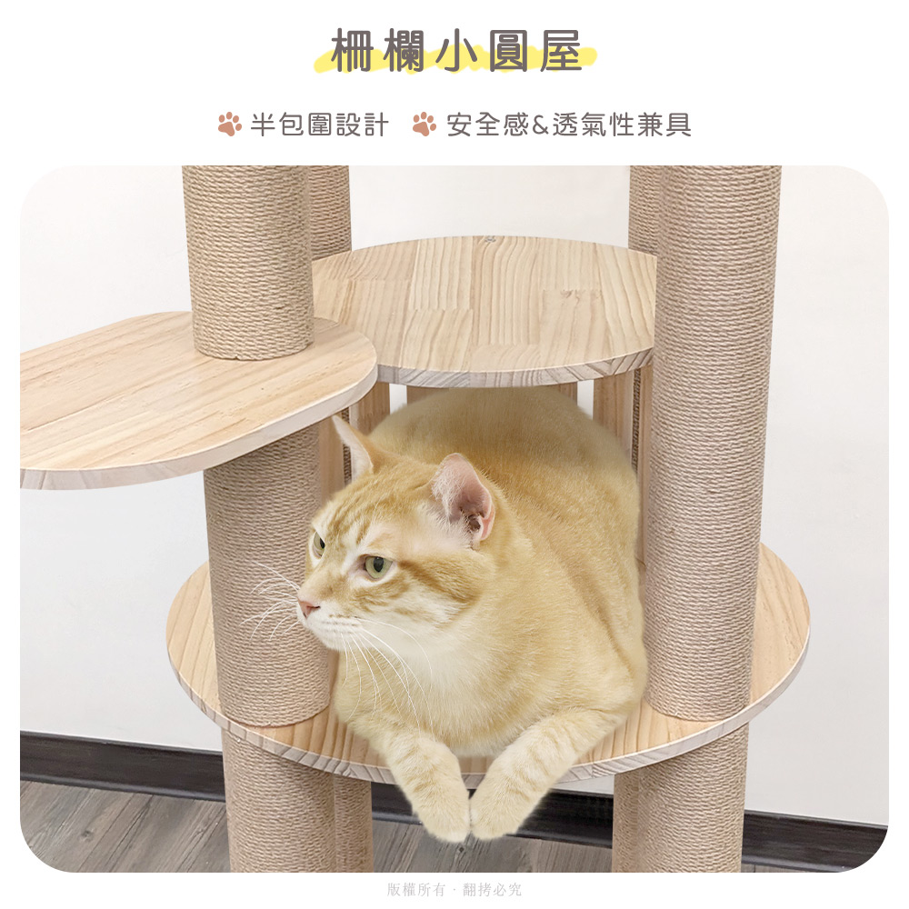 貓本屋 星空圓塔 台灣製 實木貓跳台, , large