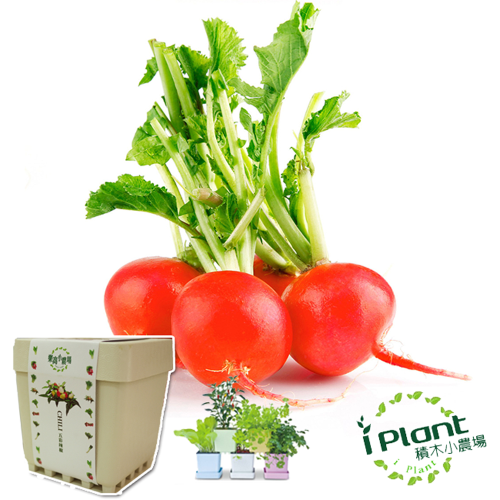 【心安購物】iPlant積木盆栽-櫻桃蘿蔔, , large