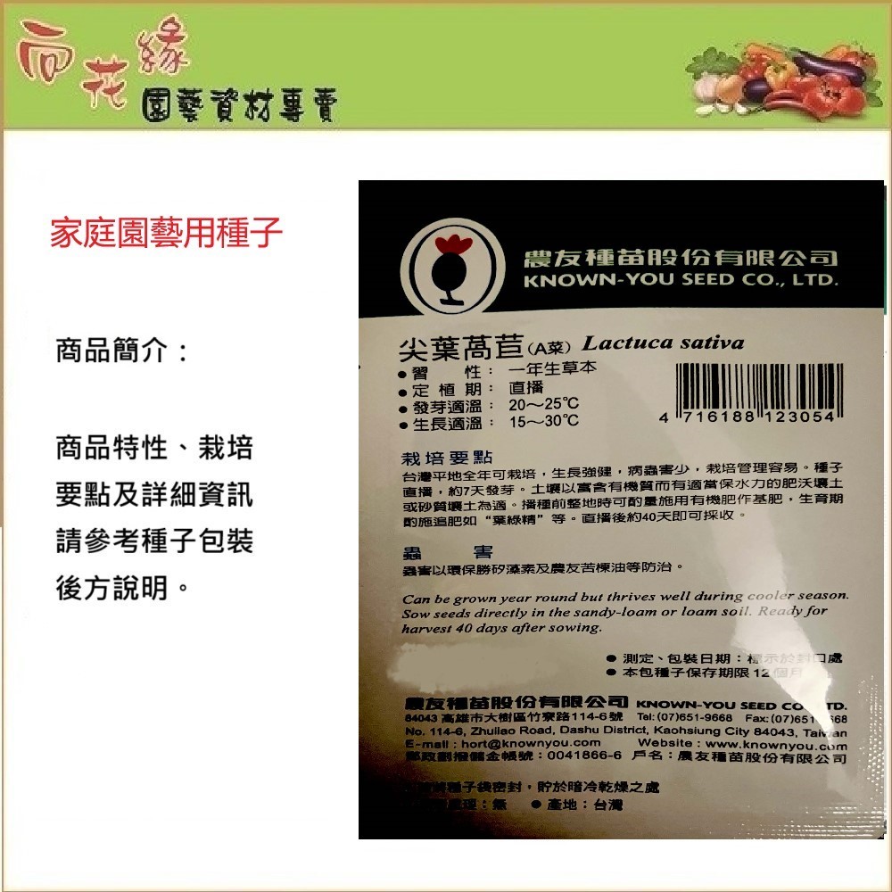 【向花緣】農友 尖葉萵苣(A菜) - 蔬菜種子, , large