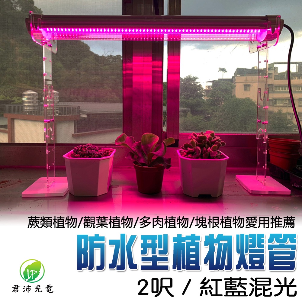 【君沛】2呎 25W 防水植物燈 紅藍混光 三防燈 LED植物生長燈 多肉上色 育苗 防徒長 陽台植物架, , large