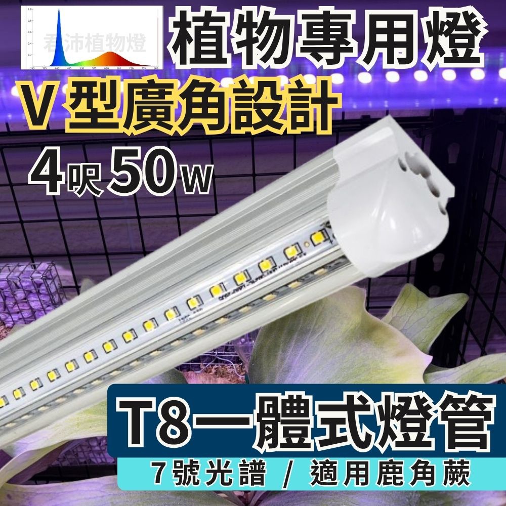 【君沛】7號光譜 V型雙排 4呎植物燈管 50W 旗艦功率 鹿角蕨推薦 觀葉植物 抑制徒長 還原原色 大型層架專業生長燈, , large