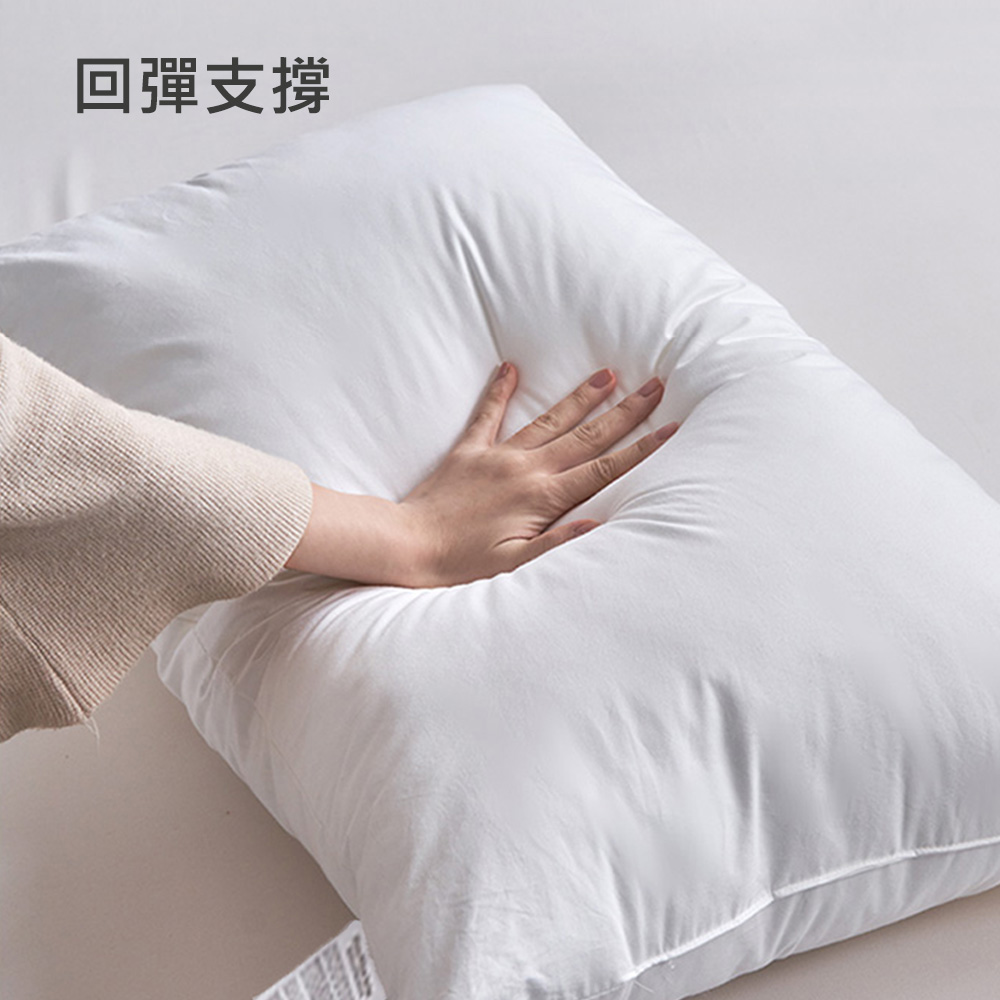 Albert家居 台灣製 抗菌纖維好眠枕&times;1入 (枕頭/纖維枕/可水洗/飯店枕), , large