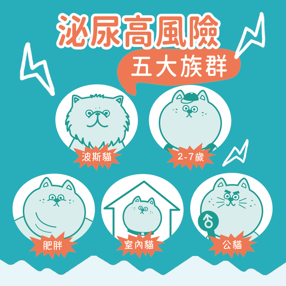 【IN-Plus】蔓越莓泌尿安 舒壓呵護配方1gx30包(全齡貓/貓保健品/泌尿保健), , large