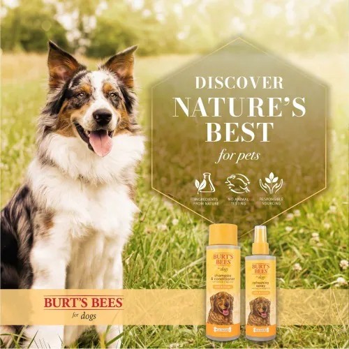【PawHomie】Burt's Bees金銀花酪梨抗癢乾洗護毛素潔膚水（犬用）, , large