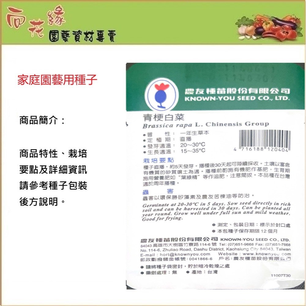 【向花緣】農友 青梗白菜 - 蔬菜種子, , large