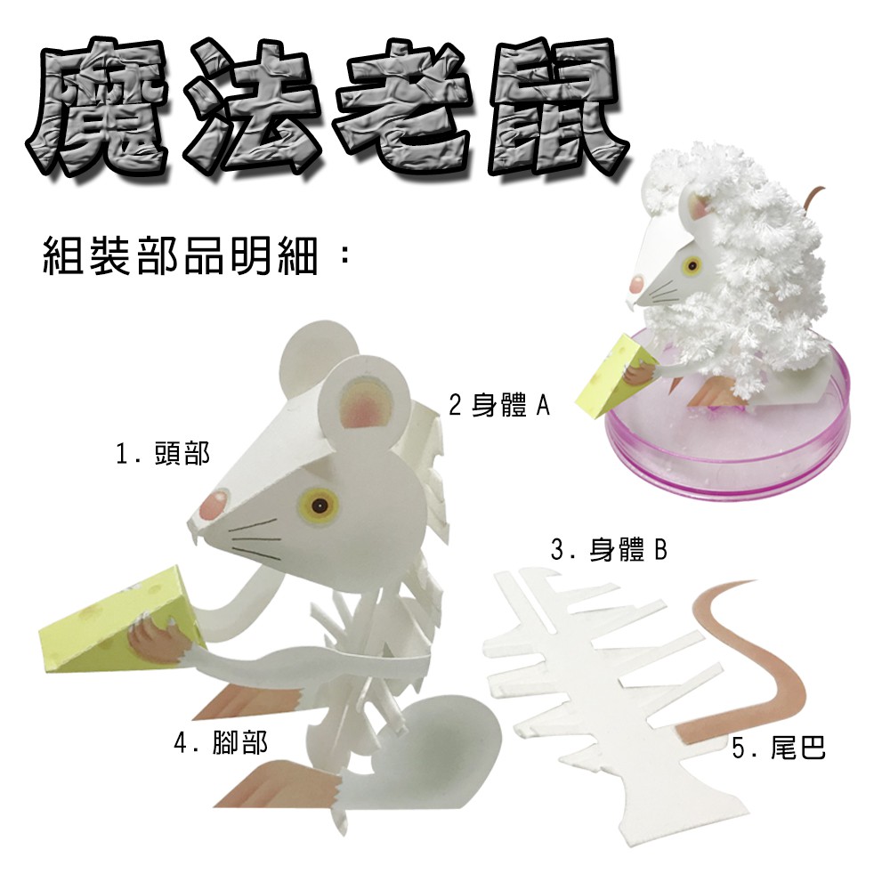 GS MALL 台灣製造 魔法成長錢鼠 魔法開花鼠 成長鼠 錢鼠 神奇錢鼠 紙花 開花鼠 裝飾樹 開花樹, , large