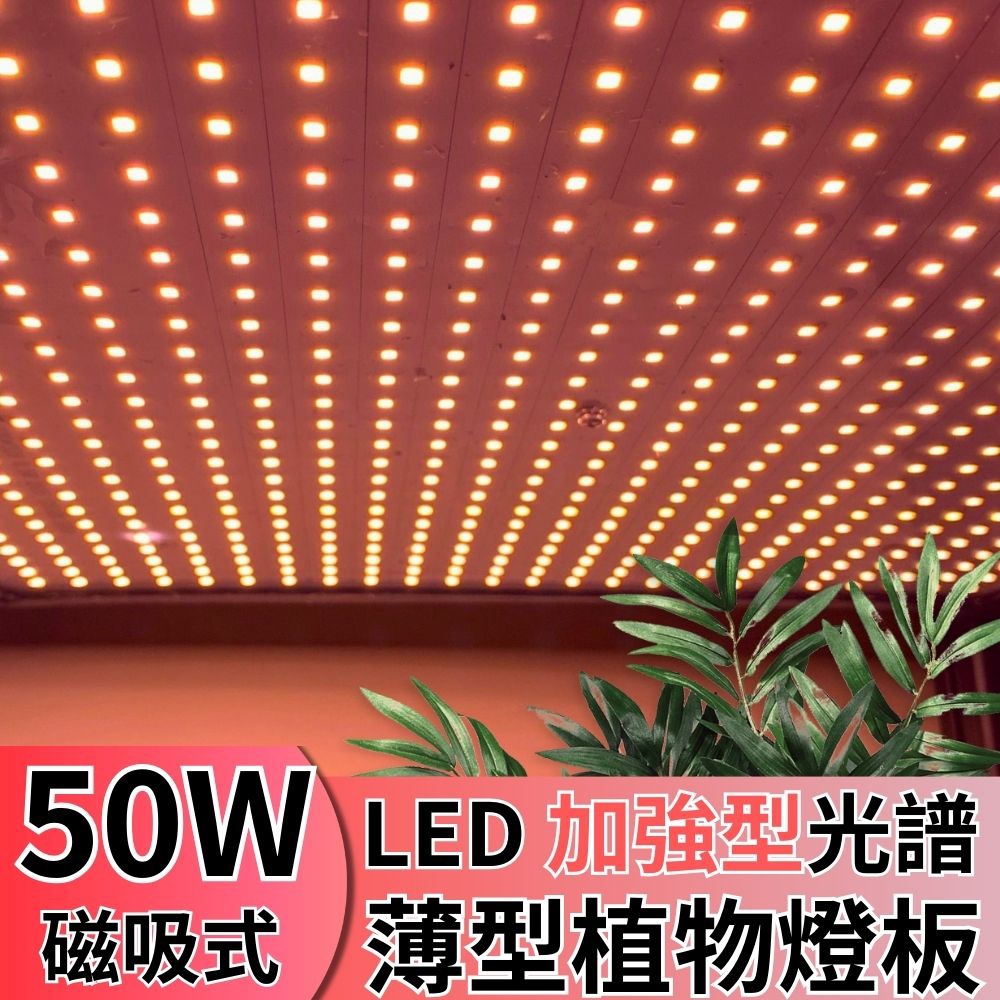 【君沛植物燈】LED植物燈 LED50W薄型植物燈板 50瓦磁吸式植物燈 加強型光譜 強化植物莖葉發展 植物成長專用燈, , large