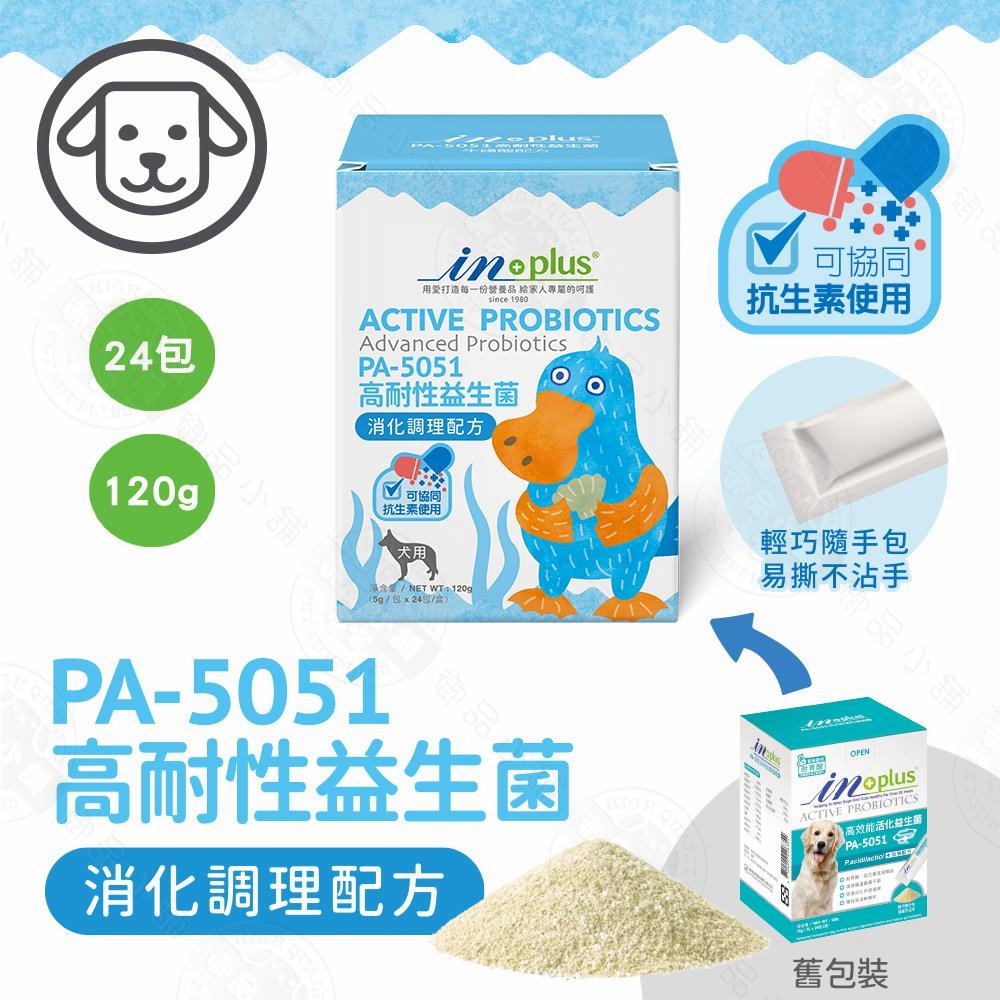 IN-Plus 犬用PA5051高耐性益生菌消化調理配方5克&times;24包 狗保健品 維持健康 耐抗生素 耐胃酸 耐高溫專利菌, IN-Plus 犬用-PA5051高耐性益生菌 消化調理配方(5g x24包), large