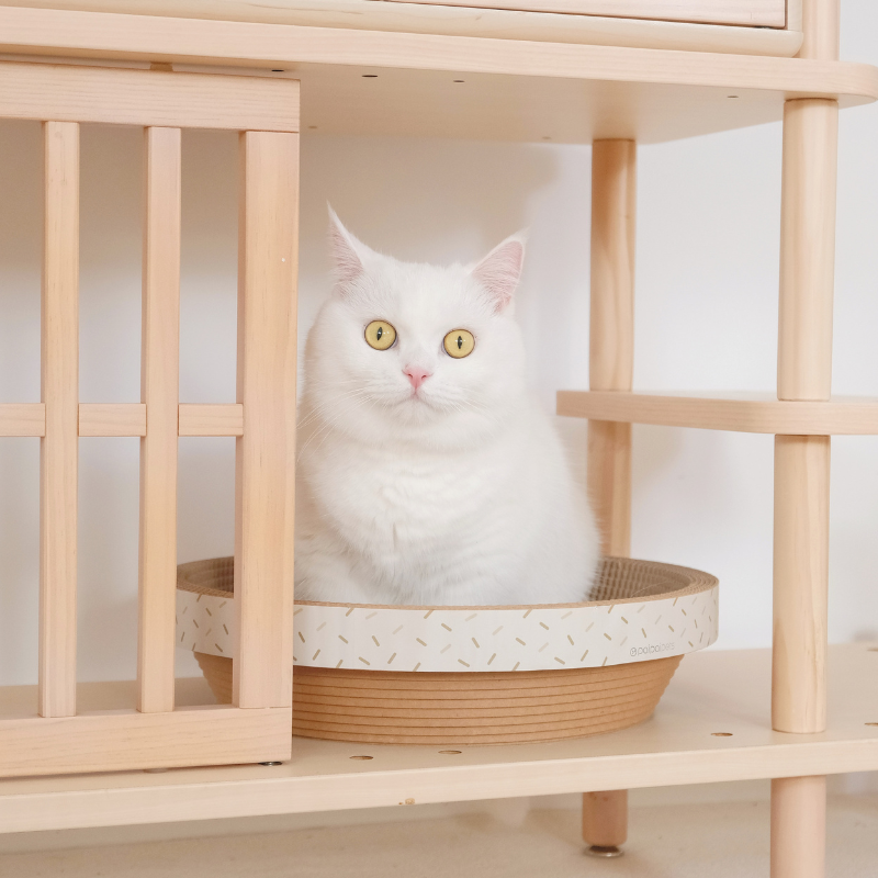 【paipaipets】Cardboard cat scratcher bowl, , large
