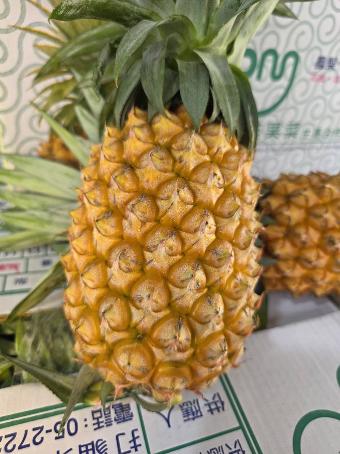 [芯鮮果]台灣嚴選( 金鑽鳳梨 ), , large