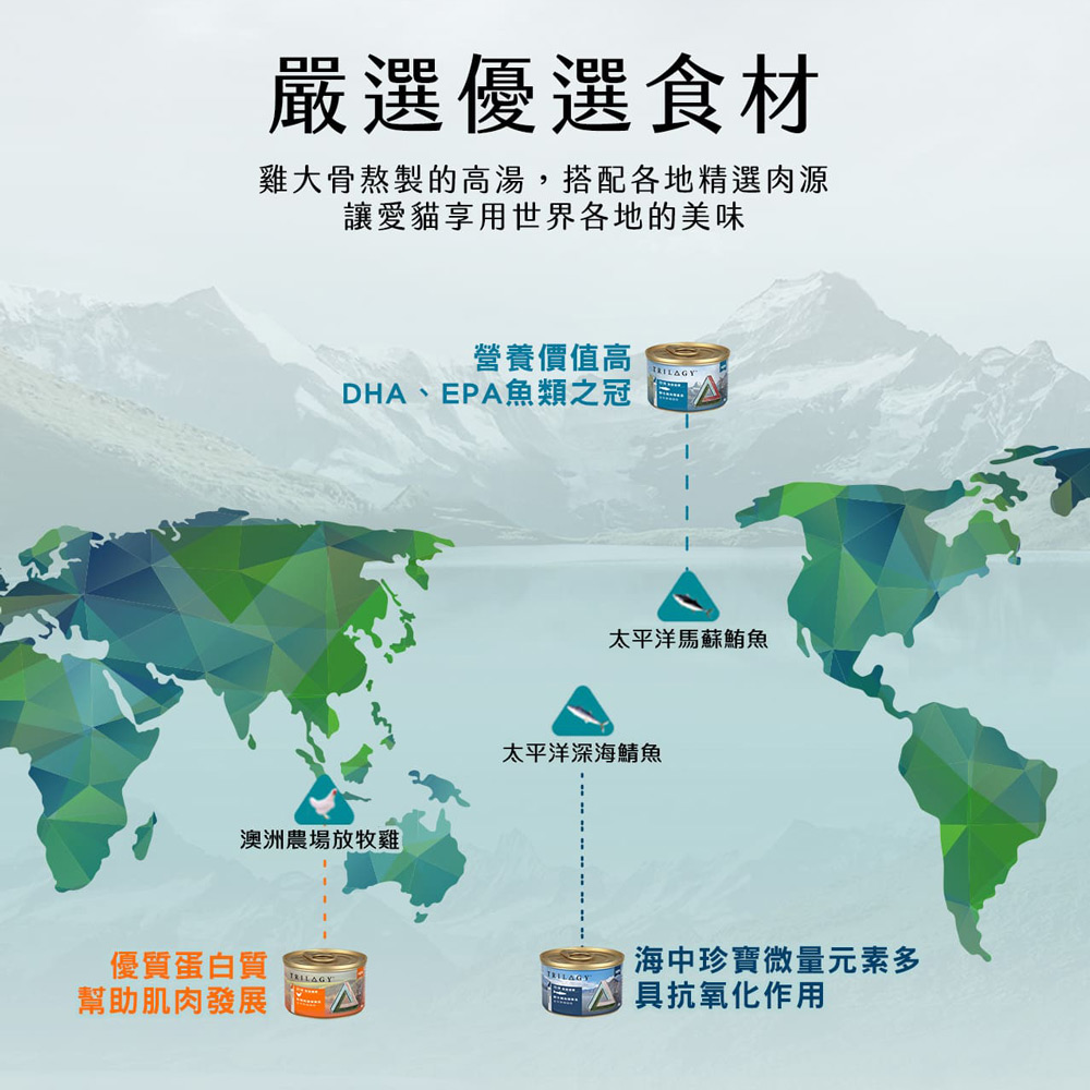 【TRILOGY奇境】幼貓 成貓 無穀燉雞湯 貓罐頭55gX24罐, , large
