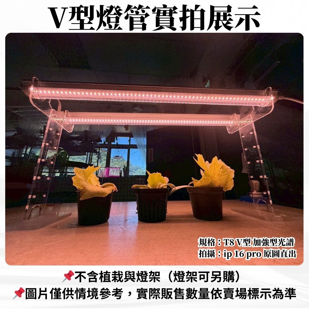 【君沛】V型雙排 2呎T8一體式 25W 高功率 加強型光譜 抑制徒長 桌上型補光 多肉 龍舌蘭 塊根, , large