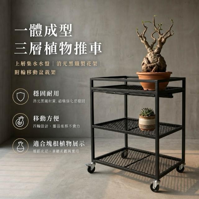 【 SHAONIANNA.TW 】一體成型三層植物推車｜上層集水水盤｜花架｜附輪移動盆栽架｜塊根植物展示架｜台灣製造, , large
