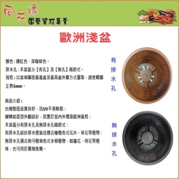 【向花緣】歐洲淺盆 有排水孔 (深咖啡色) - 1尺, , large