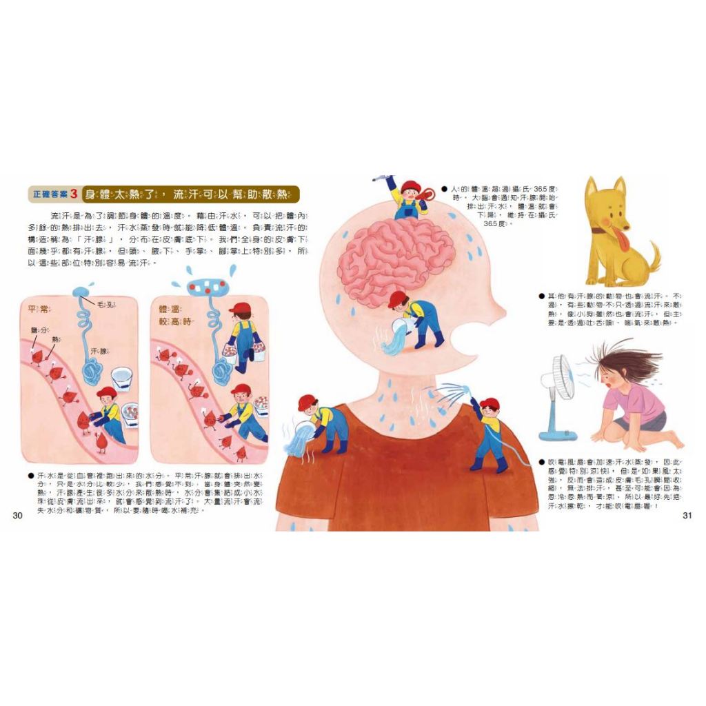 [小牛頓]WOW原來是這樣QRCode版(共10冊) 適合5-8歲 平裝全彩 大字注音圖解百科, , large