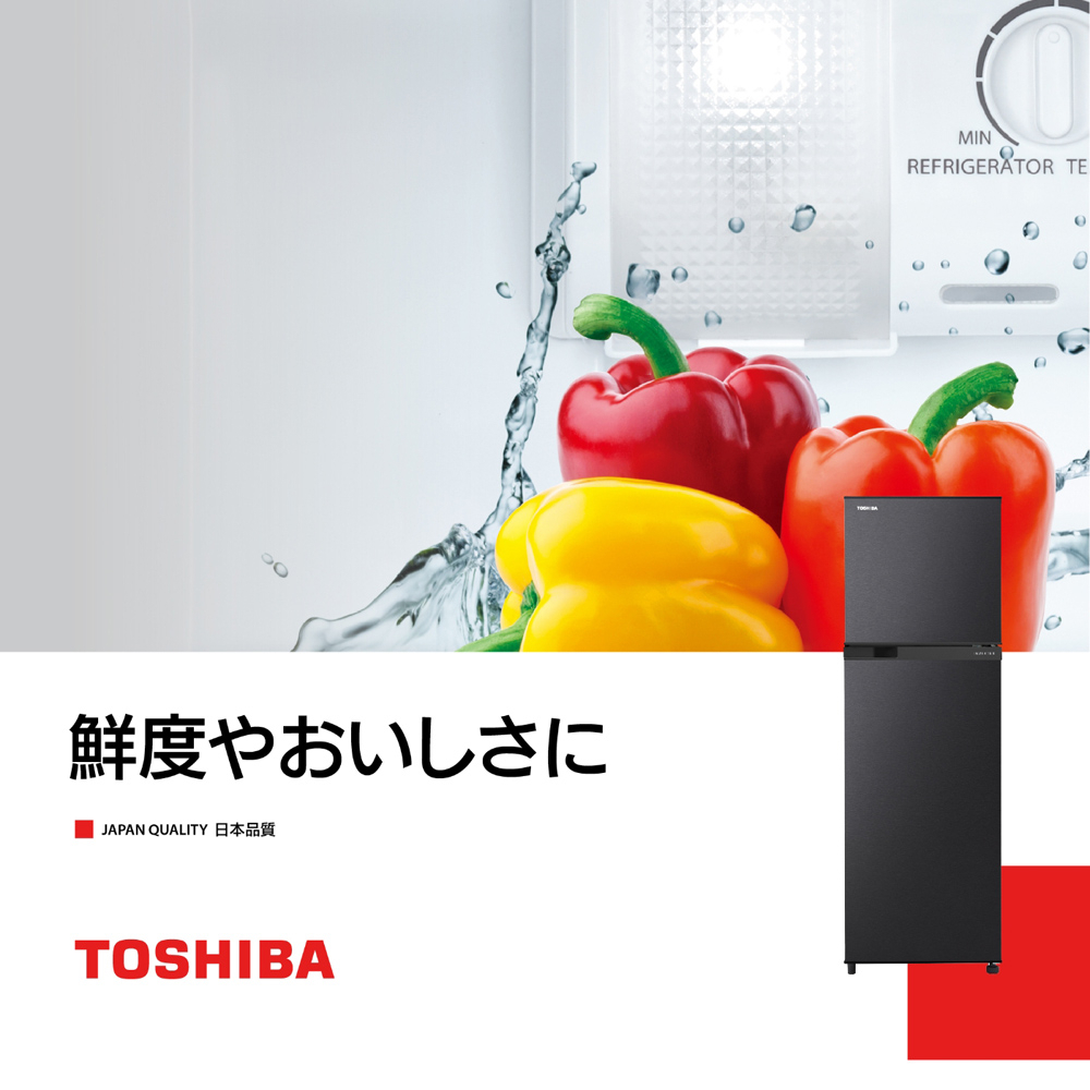 TOSHIBA 東芝 262公升 雙門變頻電冰箱 銀河灰 GR-B31TP(SK), , large