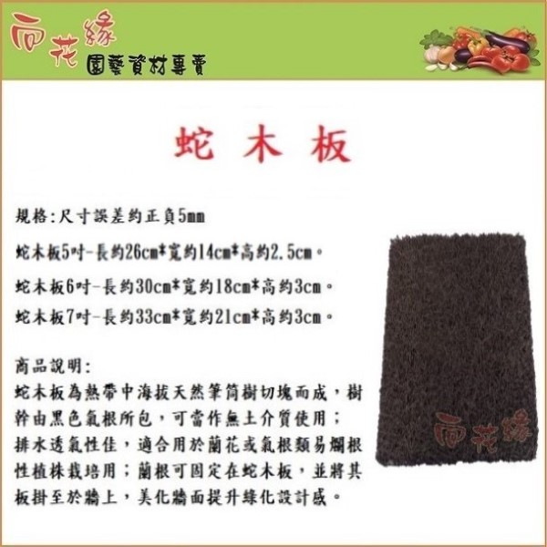 【向花緣】蛇木板 6吋 - 長約30cm*寬約18cm*高約3cm, , large