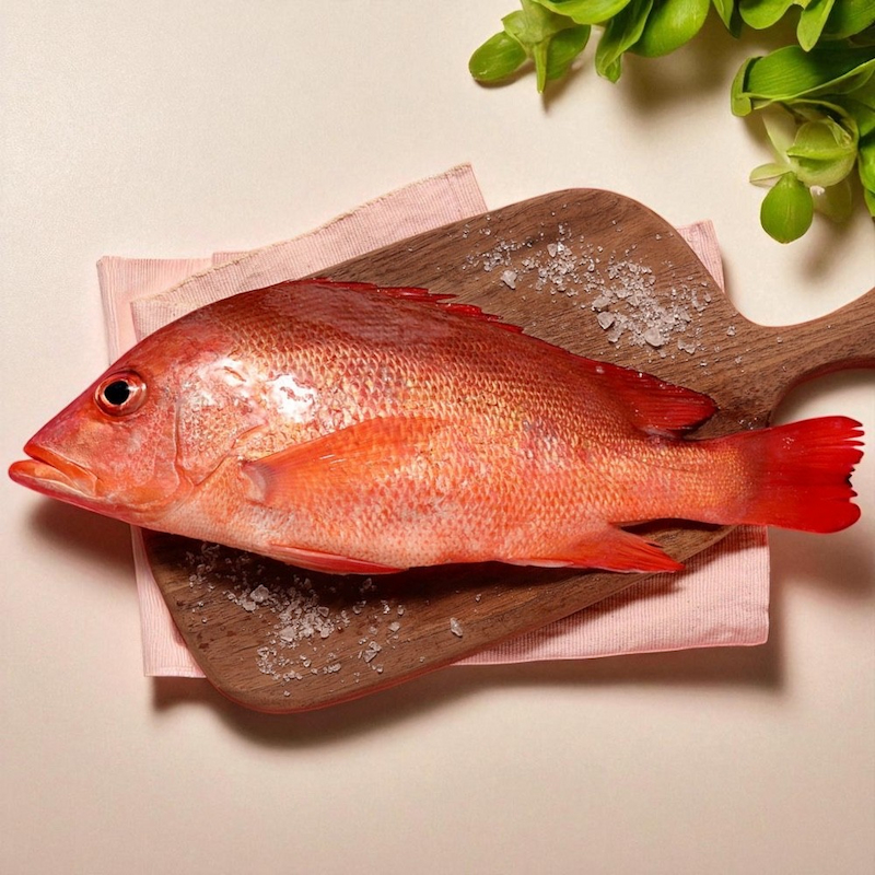 【一夫水產】紅魚/紅雞母, , large
