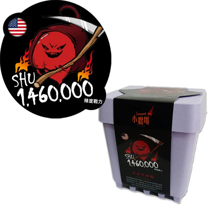 Chocolate Chili Pepper, , large