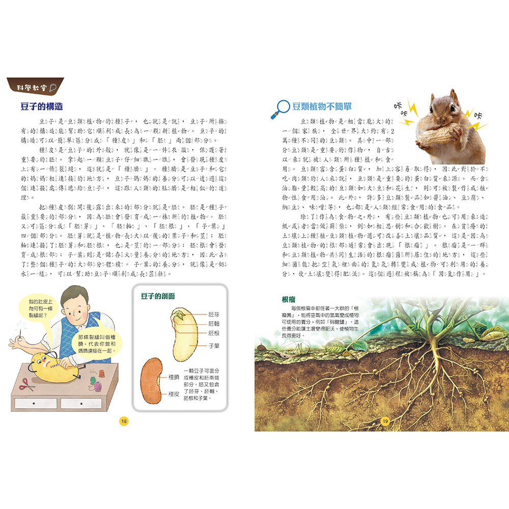 [小牛頓]故事中的科學：童話中的科學1 適合6-12歲 平裝全彩 搭科學影片隨掃隨看, , large