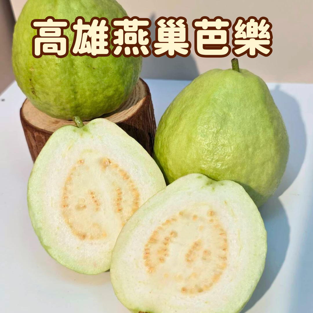 Guava, , large