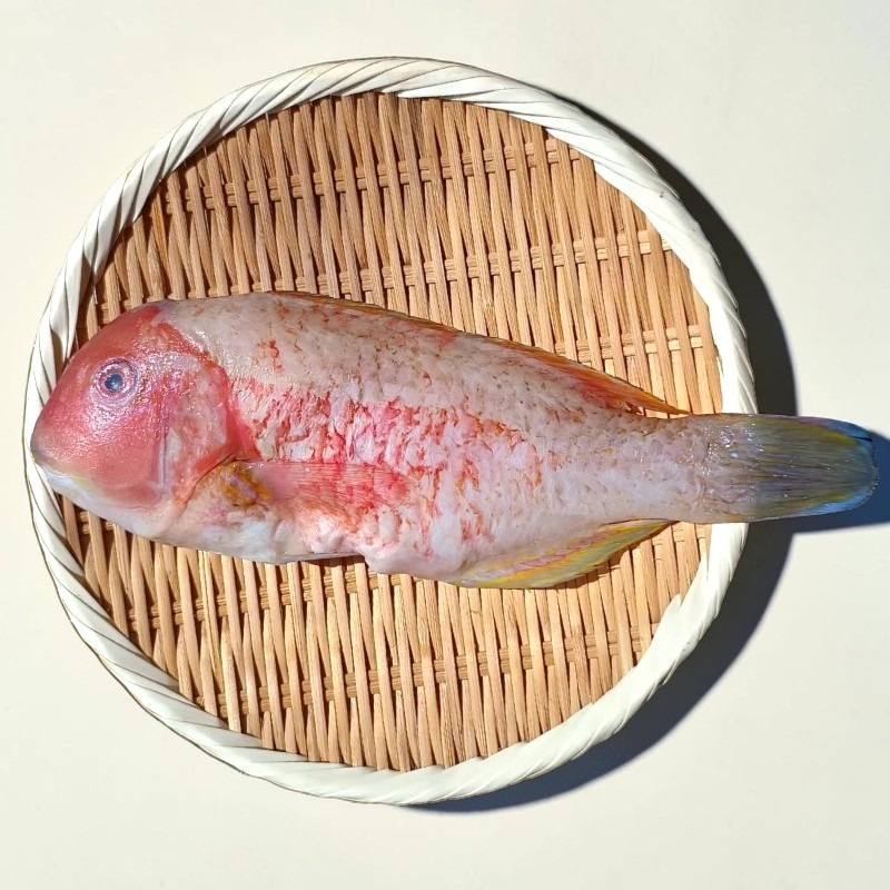 【一夫水產】澎湖野生紅石老, , large