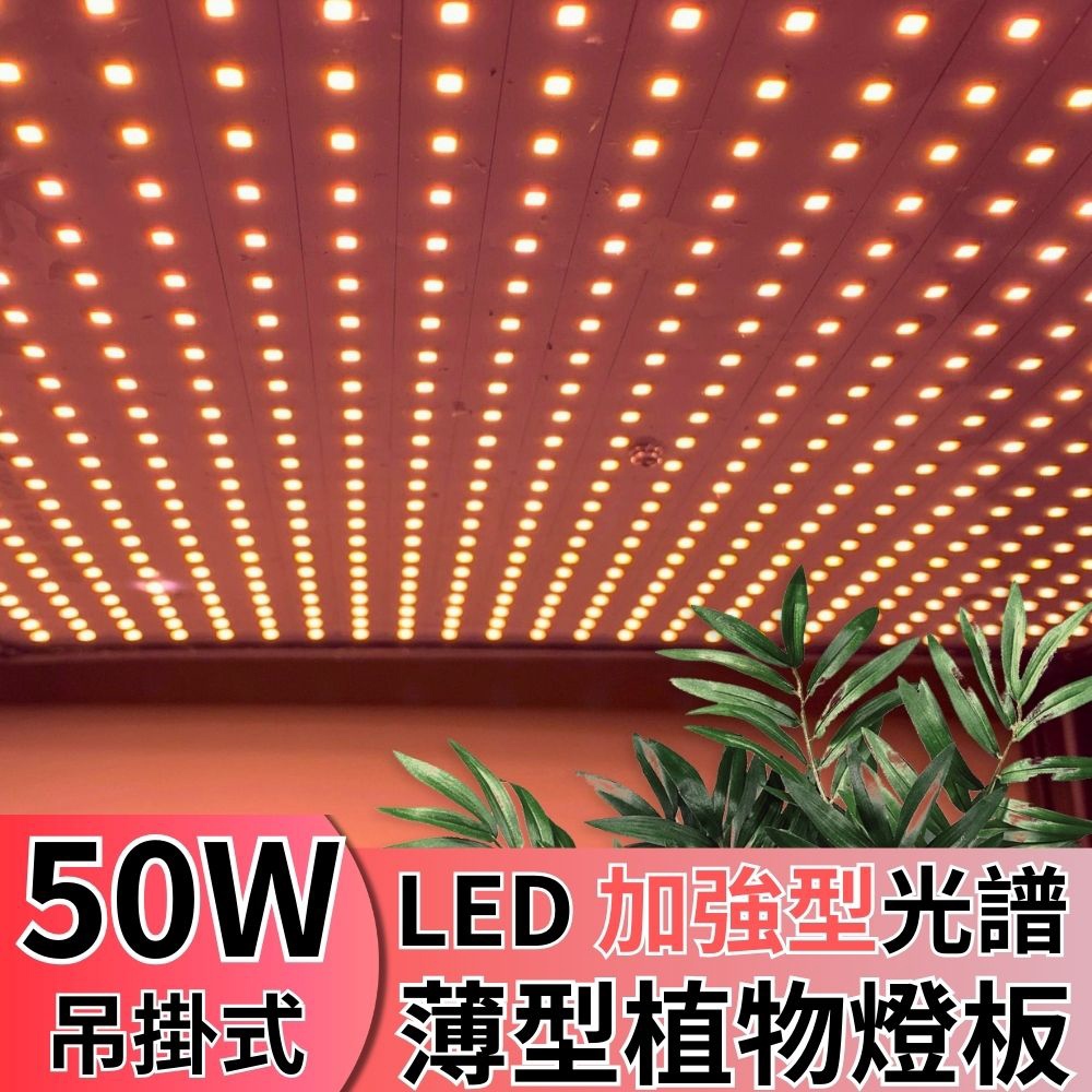 【君沛植物燈】LED植物燈 LED50W薄型植物燈板 50瓦吊掛式植物燈 加強型光譜 強化植物莖葉發展 植物成長專用燈, , large