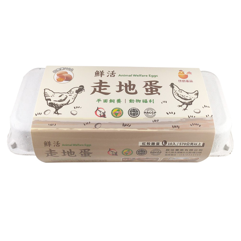 Welfare Eggs, , large
