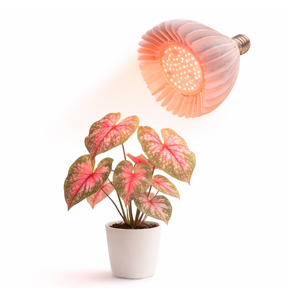 【君沛】40W 加強型光譜 植物燈 抑制徒長 極致光壓 龍舌蘭控型 塊根植物 鹿角蕨 龜背芋 E27專業生長燈 補光首選, , large