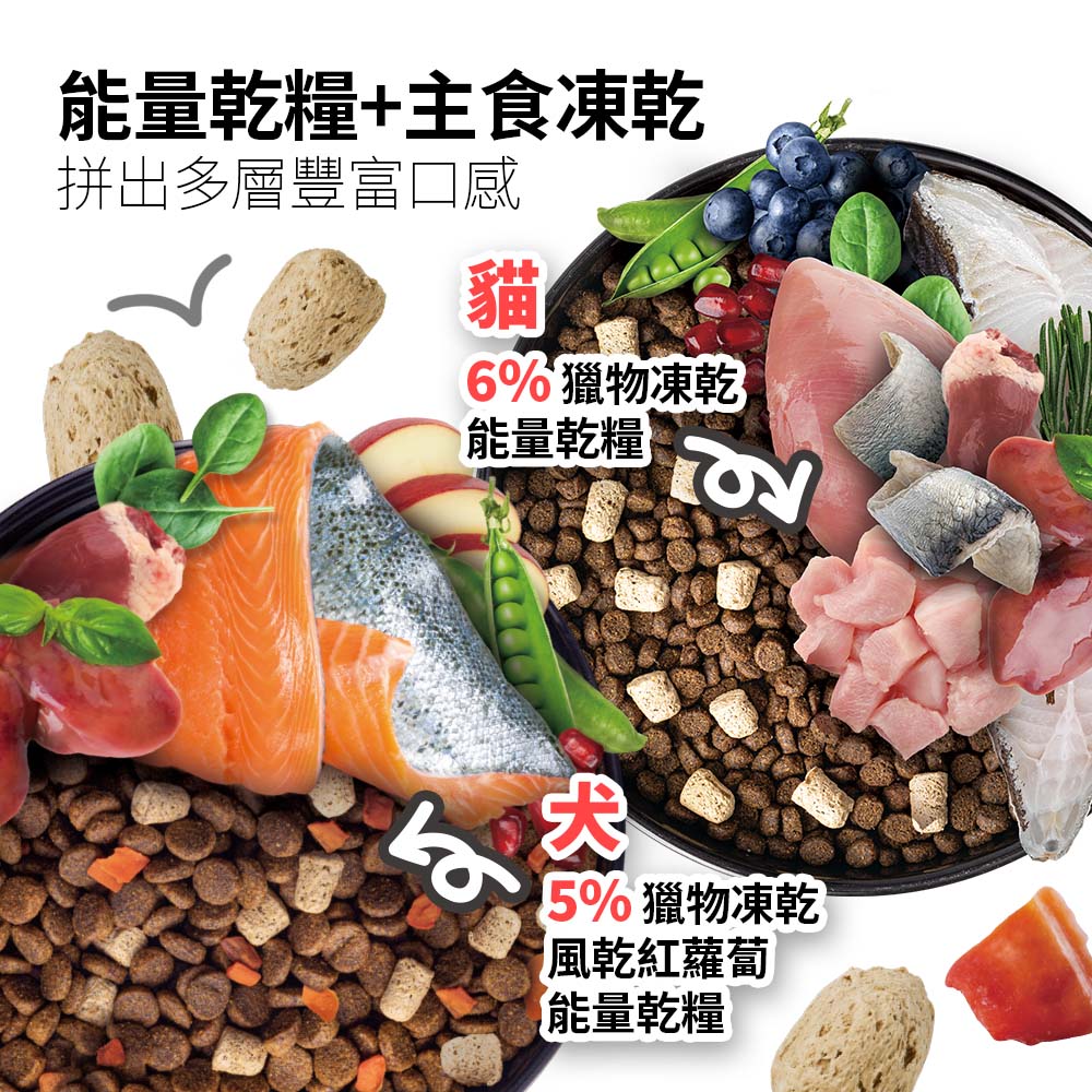【耐吉斯】P4 凍乾多拼海陸餐-全齡貓 4.5磅(貓飼料/貓糧), , large