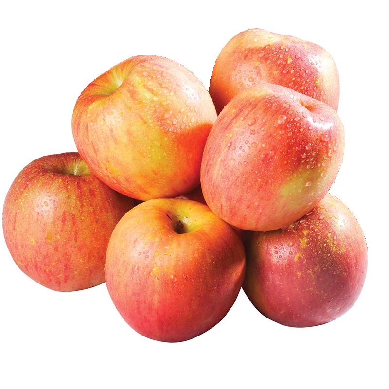 Fuji Apple#110, , large