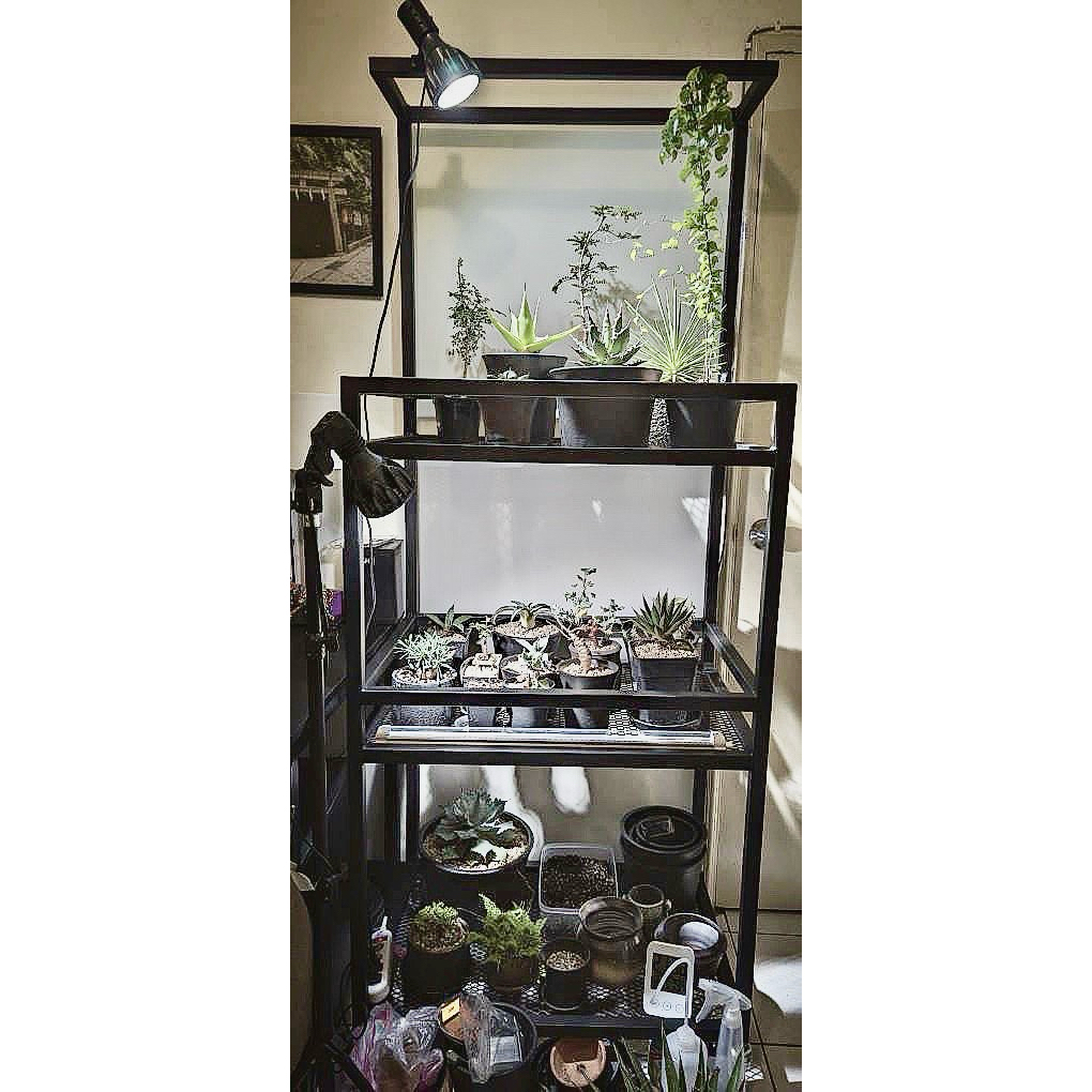 【 SHAONIANNA.TW 】植栽架／鐵架／盆栽架／塊根植物架／造型展示架／門口擺放架／工業風加強款, , large