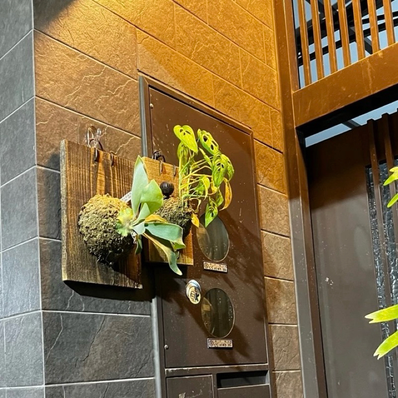 [熊好貼國際]方形大橢圓掛勾 凹凸、紋路牆面可貼(超黏) 免鑽免釘 不殘膠 不傷磁磚 無痕掛勾掛鉤 台灣製造熊好貼國際, , large