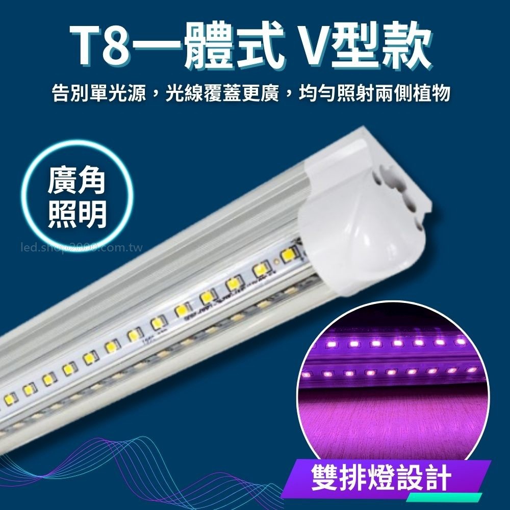 【君沛】7號光譜 V型雙排 4呎植物燈管 50W 旗艦功率 鹿角蕨推薦 觀葉植物 抑制徒長 還原原色 大型層架專業生長燈, , large