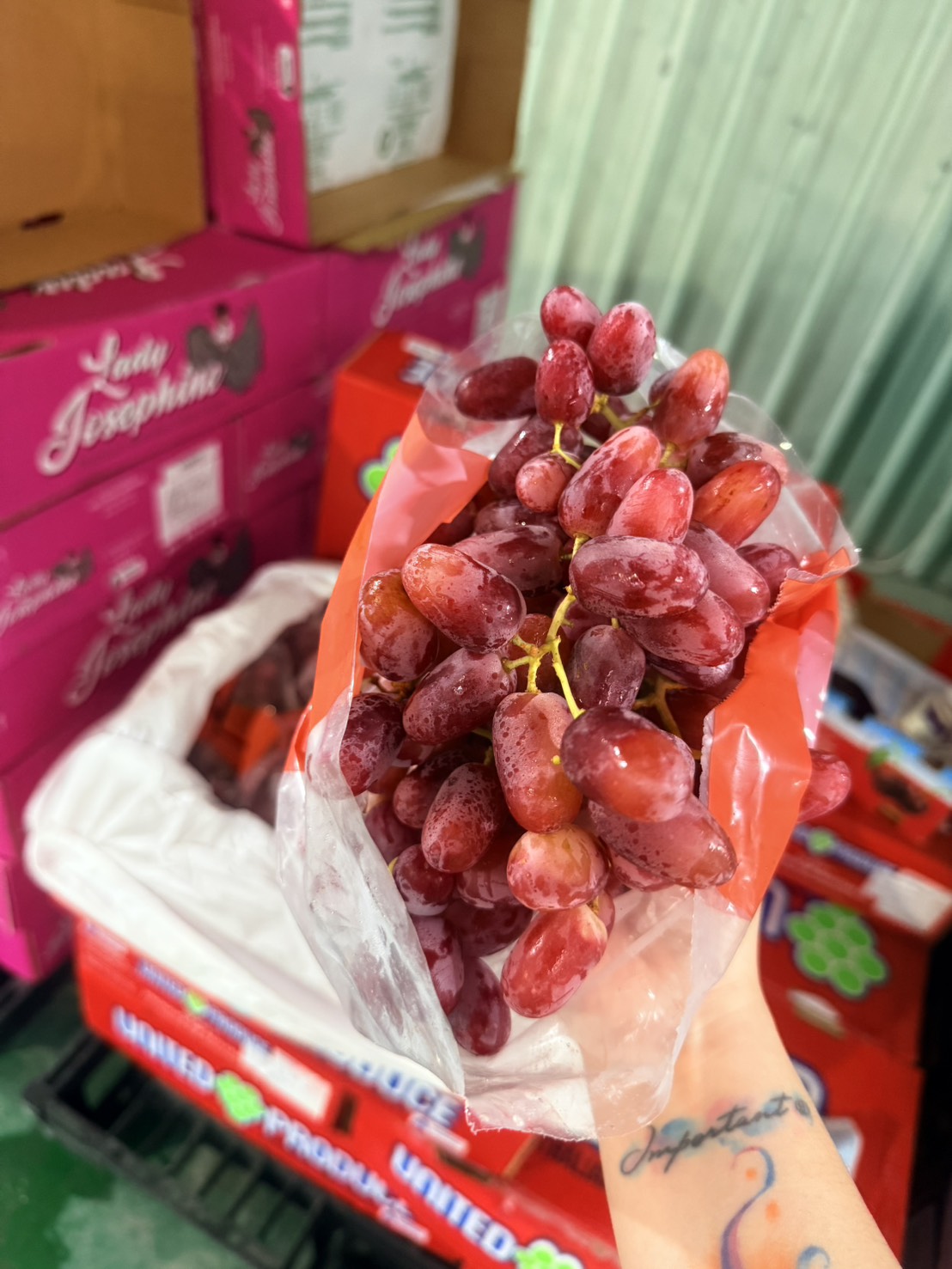 [芯鮮果]澳洲進口( 糖脆紅無籽葡萄 ), , large