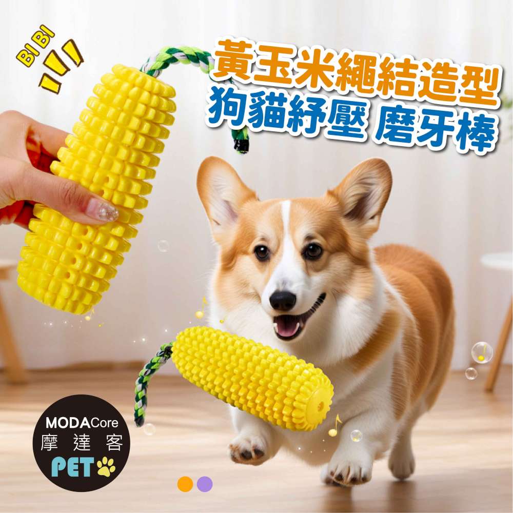 dog toy, , large