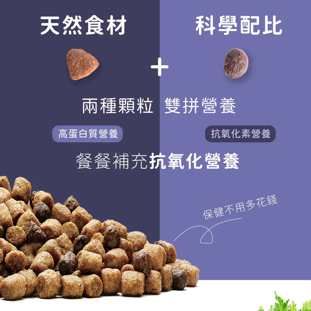 【Blue Buffalo藍摯】原野精靈 去骨雞肉無穀配方2磅 幼貓飼料 貓乾糧(貓糧/貓飼料), , large